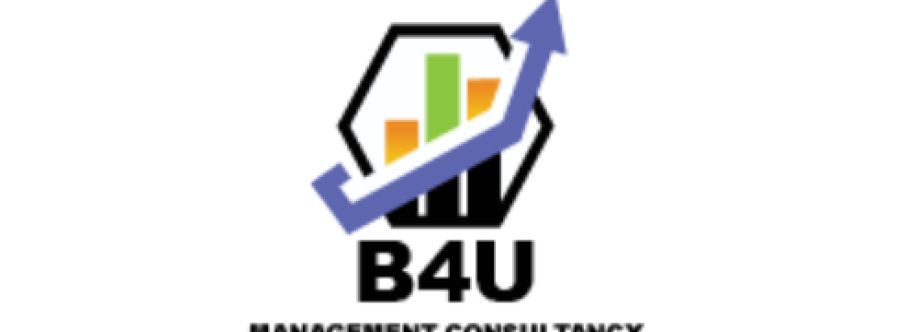 b4u Consultancy UAE Cover Image