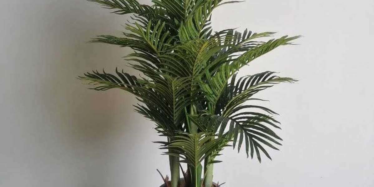 Is it Beneficial to Buy Plants Online in UAE?