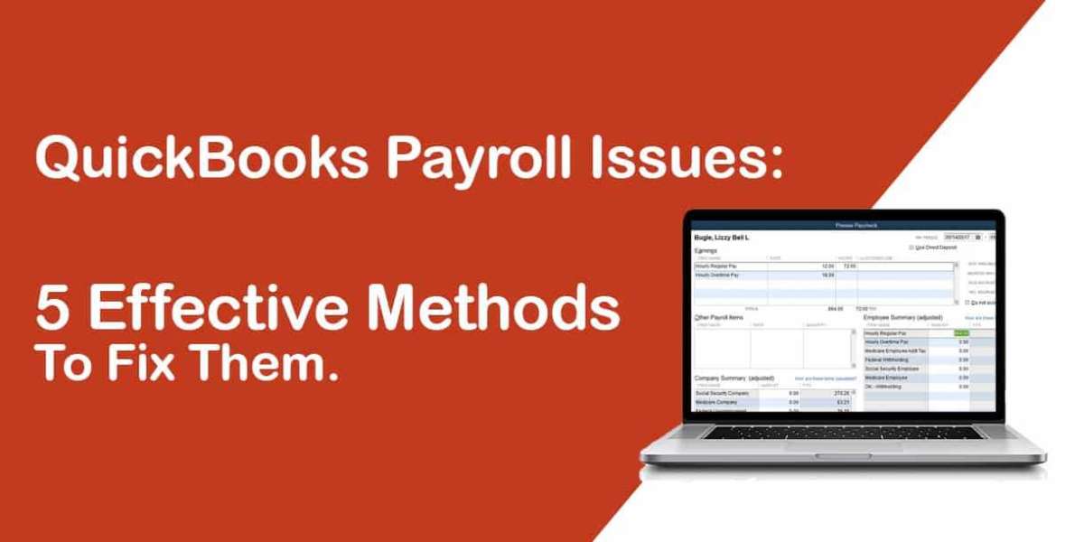 QuickBooks Payroll Issues: 5 Effective Methods To Fix Them