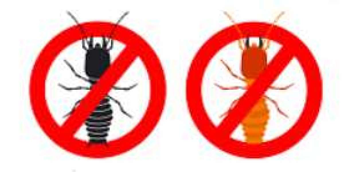 5 Simple Summer Pest Management Approaches