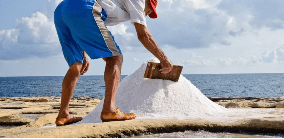 Difference Between Sea Salt and Himalayan Salt