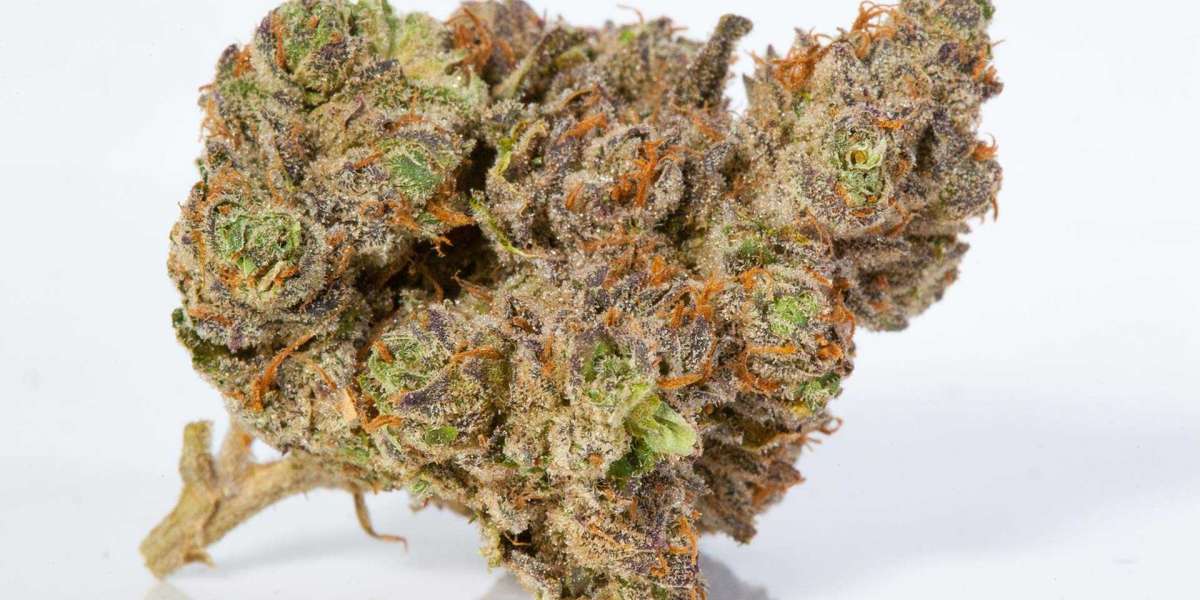 All You Need to Know About Stardawg Marijuana Strain