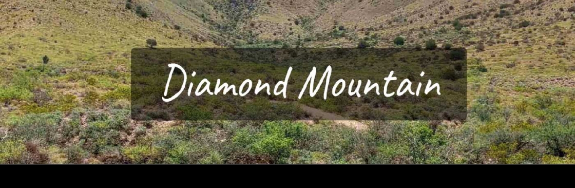 Diamond Mountain Inc Cover Image
