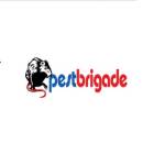 Pest Brigade Brigade Profile Picture