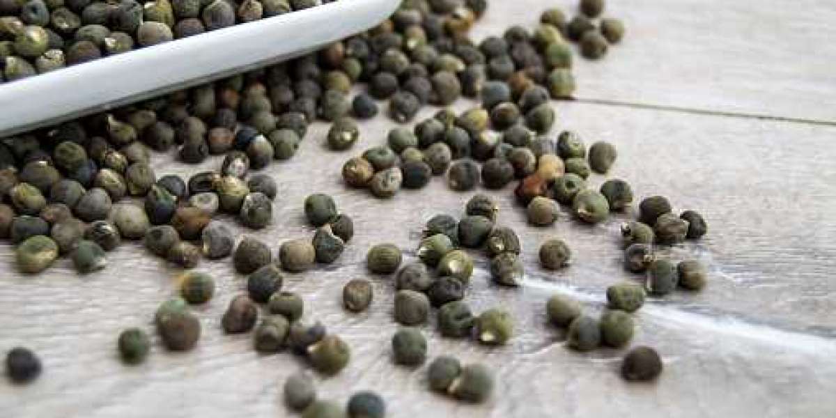Okra Seeds Market Growth, Regional Overview, Key Player, Forecast 2020-2030.