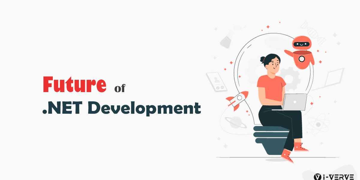 what is usage of.net framework for enterprise web application?