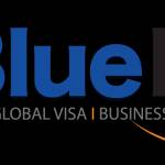 bluelink services Profile Picture