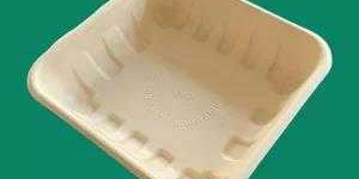 Introduction of 14D Tray, Degradable Eco-friendly Tableware