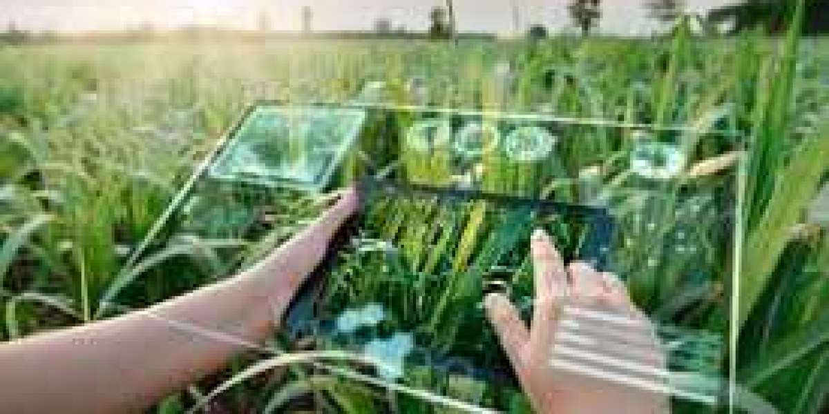 Smart Agriculture Market Growth, Trends, and Value Chain 2022-2030