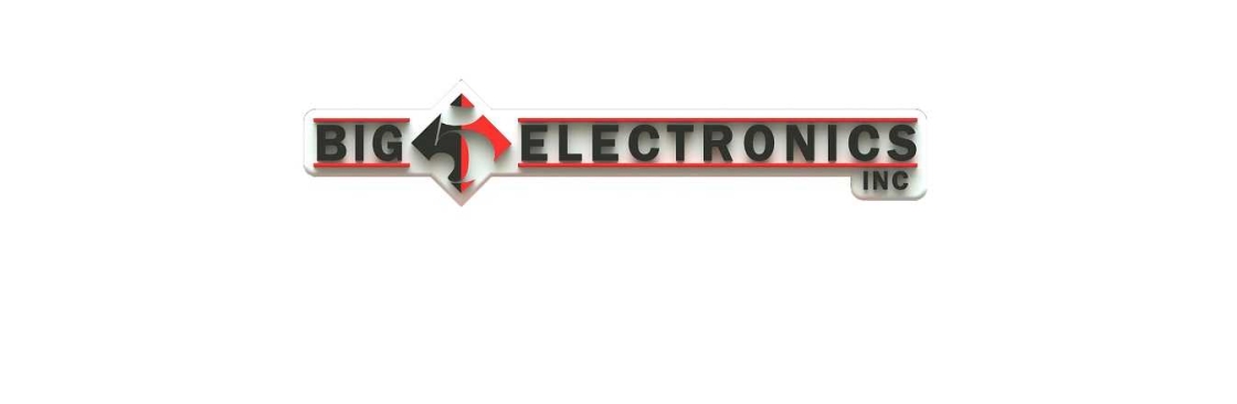 Big 5 Electronics Cover Image