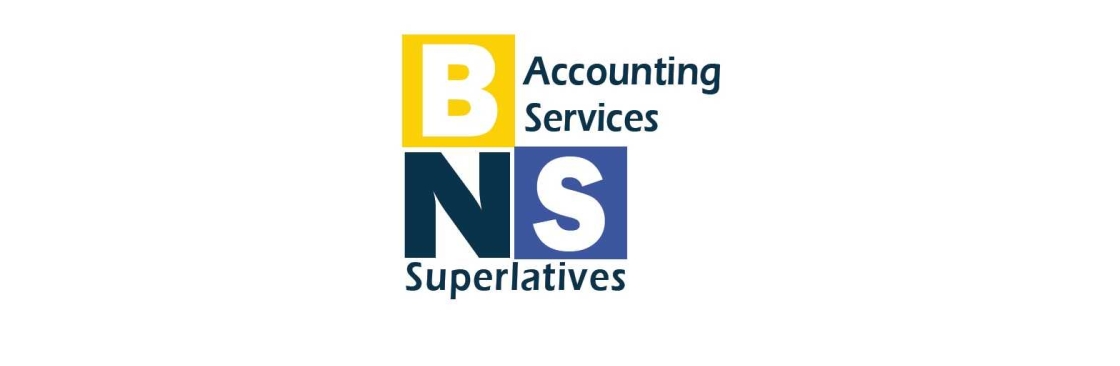 BNS Accounting Services Cover Image