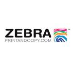 Zebraprint Andcopy profile picture