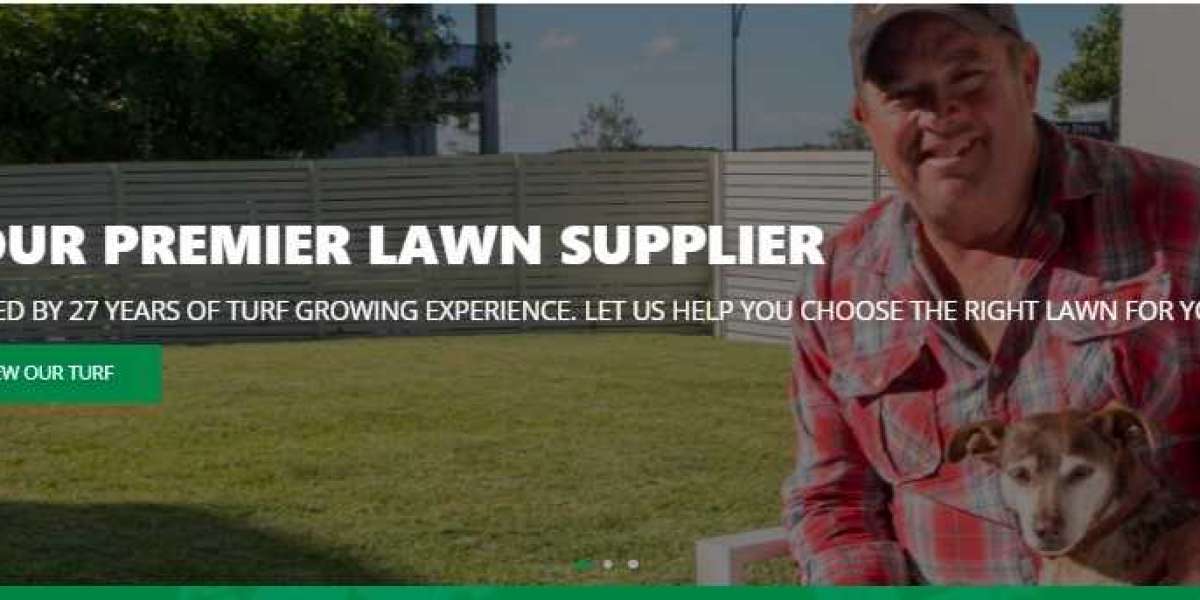 Get the best Lawn turf solution & care