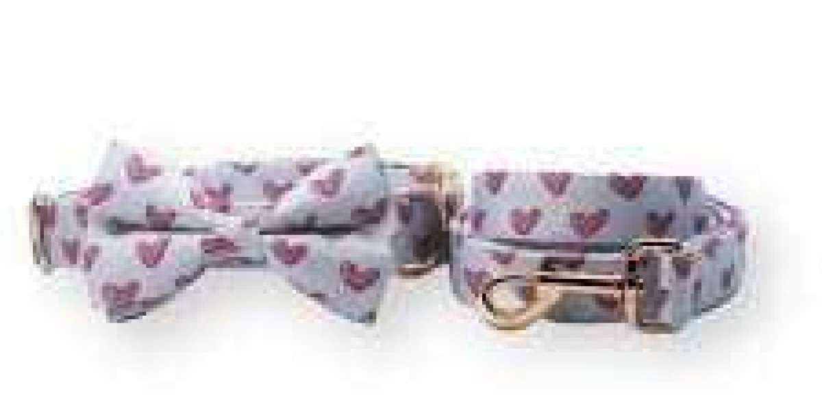 How to tie a bow tie on your dog