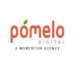 Pomelo Digital Profile Picture