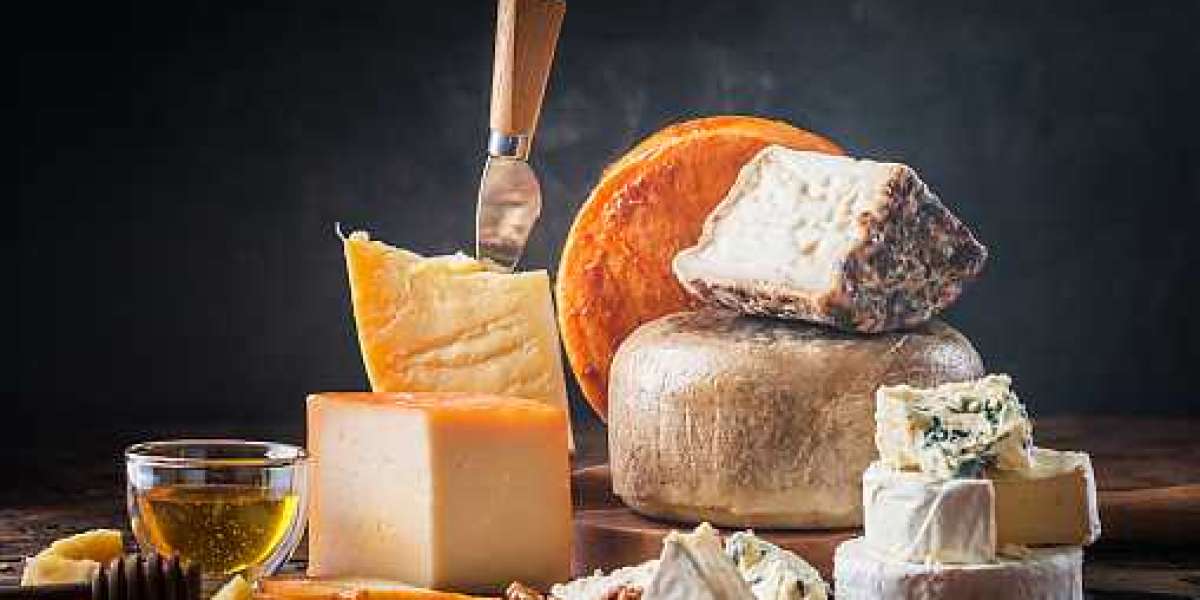Organic cheese Market Share, Product Development Plans – Competitive Landscape and Forecast Period