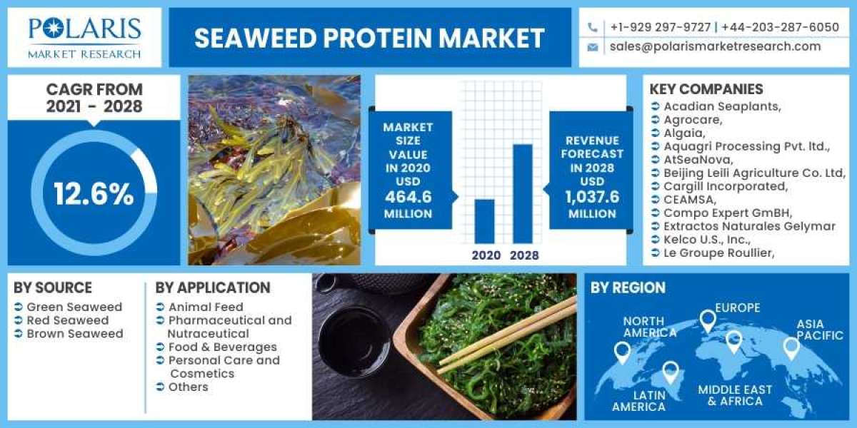Seaweed Protein Market – Advanced Technologies & Growth Opportunities in Industry By Trend Analysis 2032