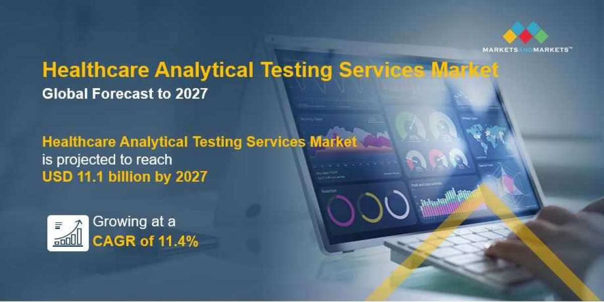 What Is The Current and Future Scenario of Healthcare Analytical Testing Services Market?