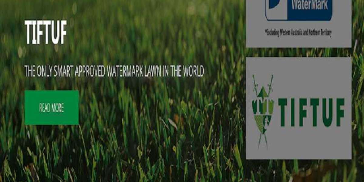 Purchase high-quality lawn turf.