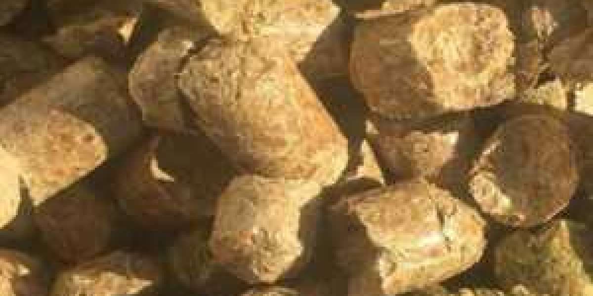 10 Reasons Wood Pellet Boilers Are So Popular