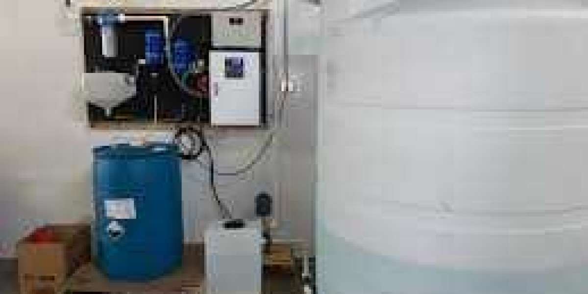 Replace the Bleach When Getting Rid of Black Mold