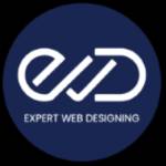 Expert Web Designing Profile Picture