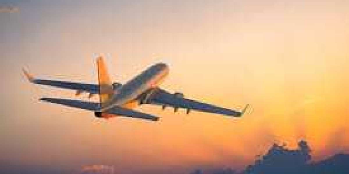 Terms and Conditions for the Flight Cancelation on Volaris Airlines
