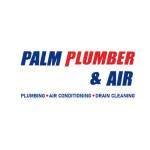 Palm Plumber & Air Profile Picture