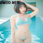 mod net Profile Picture