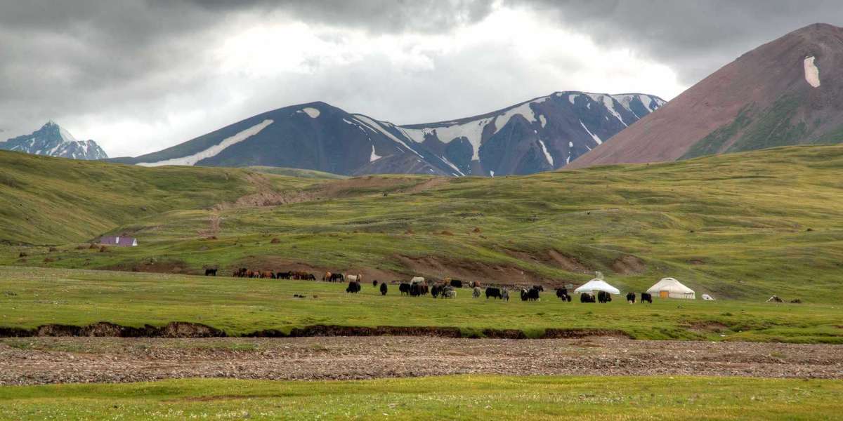 Discover the Ancient Culture of Mongolia