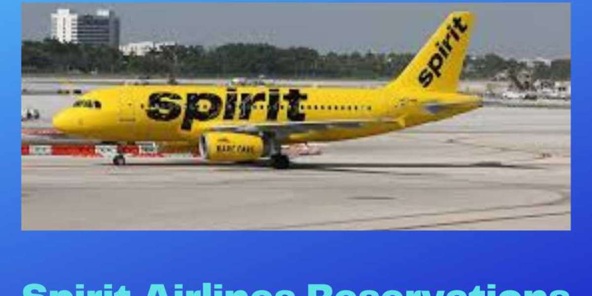 How do I Make a Reservation on Spirit Airlines?