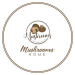Mushrooms Home Profile Picture