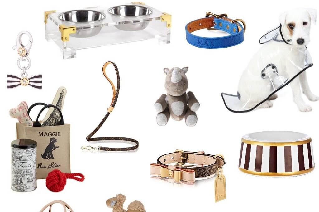 7 Types Of Pets Accessories And Why They Are Essential?