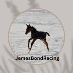 Jemes Bond Profile Picture