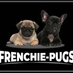 Frenchie Pugs Profile Picture