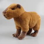 plushcapybara Profile Picture