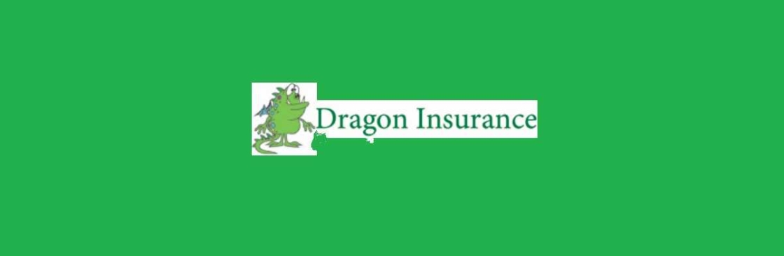 Dragon Insurance Cover Image