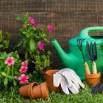 Gardening supplies_details Profile Picture