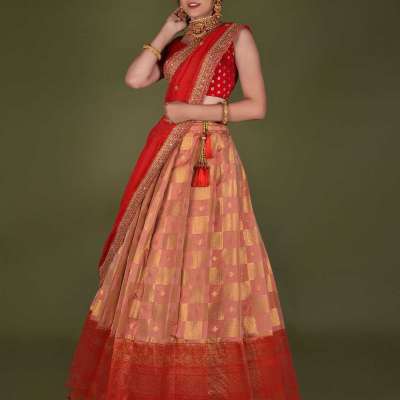 A Banarasi Halfsaree fit for a Queen. Profile Picture