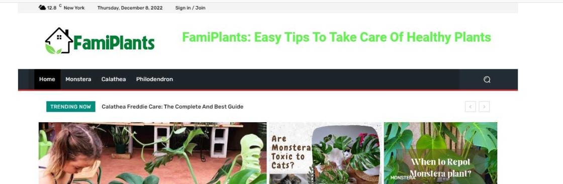 Philodendron Care FamiPlants Cover Image