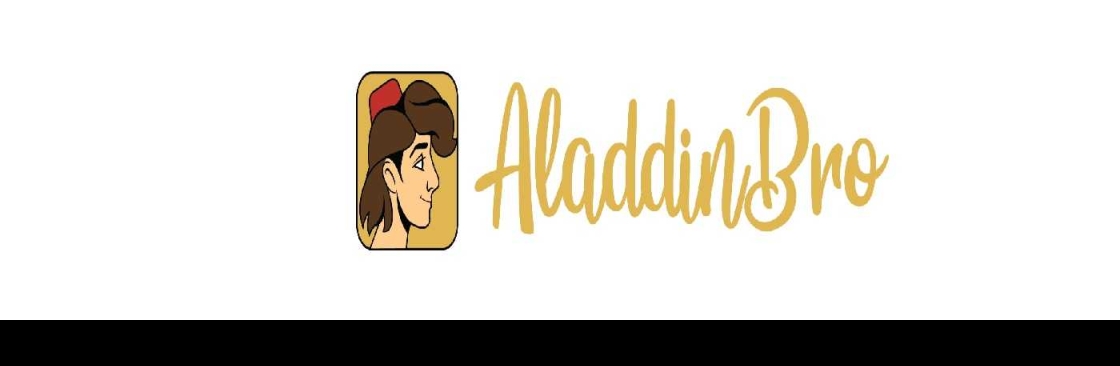 Aladdin Bro LLC Cover Image
