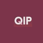 Q Investment Partners Profile Picture