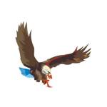 The Hawk Daily profile picture