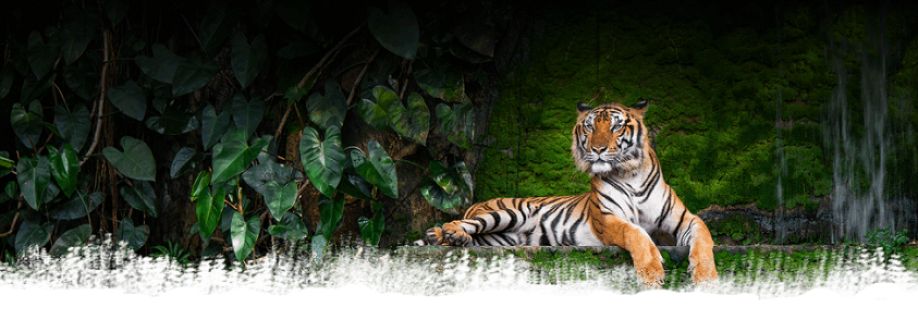 Ranthambore Tiger Reserve Cover Image