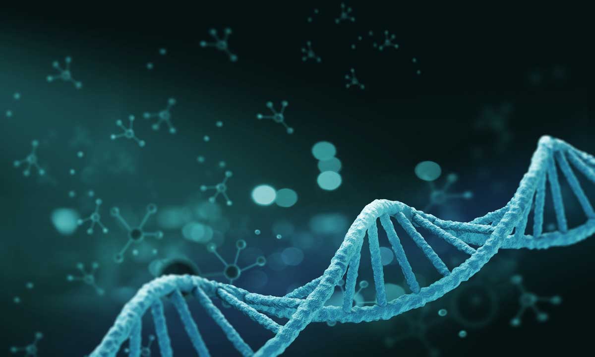 Plasmid DNA Manufacturing: Revolutionizing Biotechnology - MY SITE