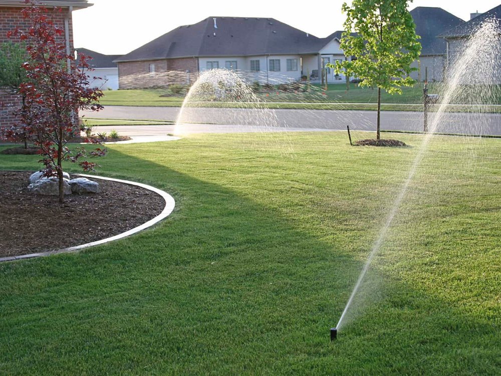 Exploring Various Irrigation Systems Used by Landscaping Companies