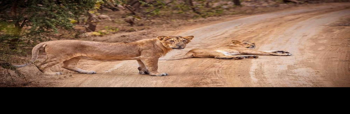 Gir Hotel Cover Image