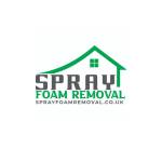 Spray foam Removal Profile Picture