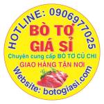Bò Tơ Thanh Trang Profile Picture