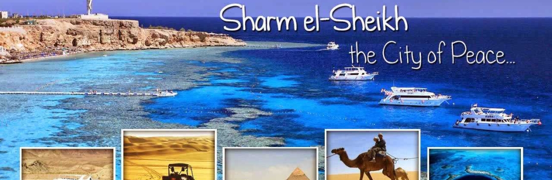 Camel Transfers and Daily Tours Travel Agency in Sharm ElSheikh Cover Image